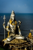 IIP Online Student Photography
